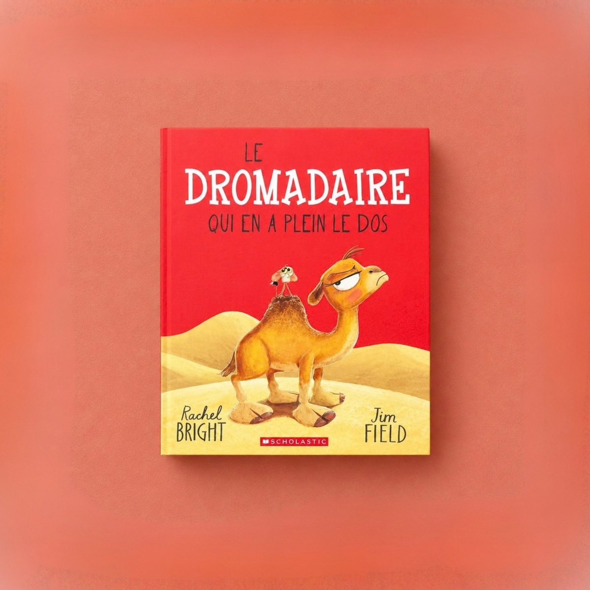 LIVRES JEUNESSE