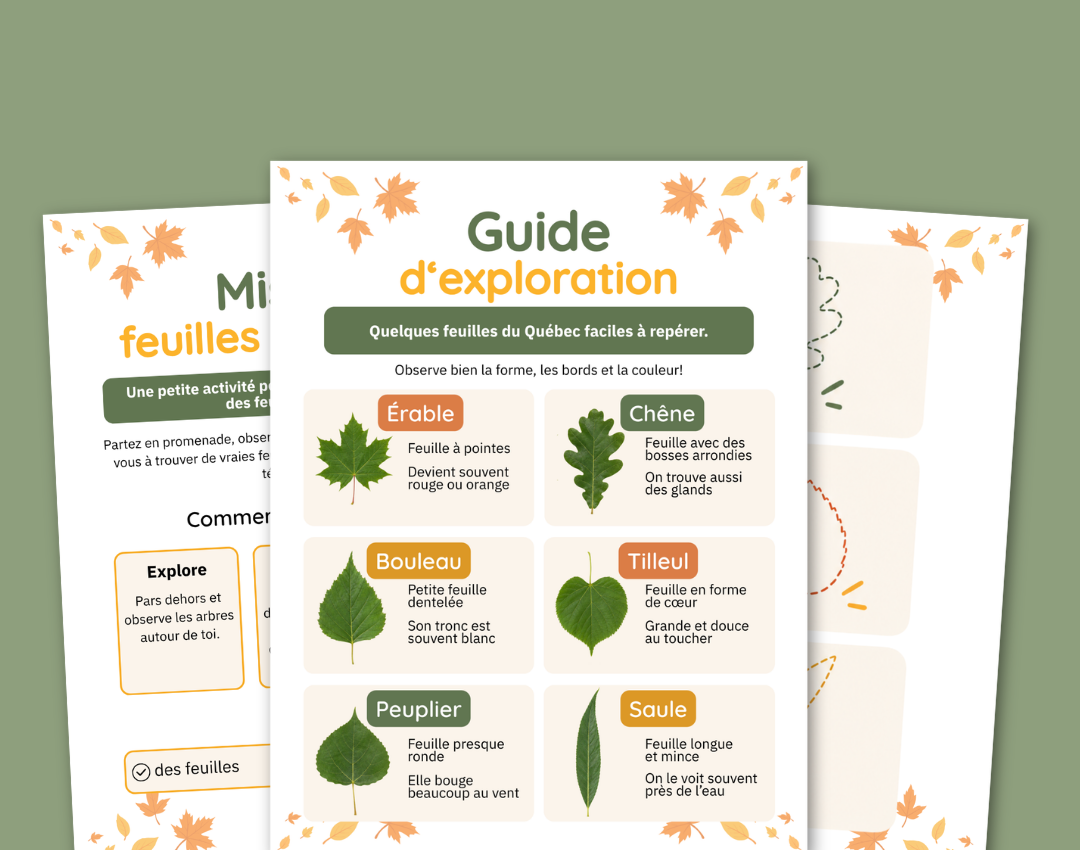 Mission feuilles d'automne