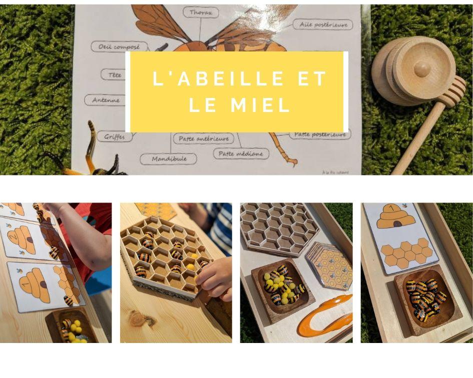 L'ABEILLE ET LE MIEL