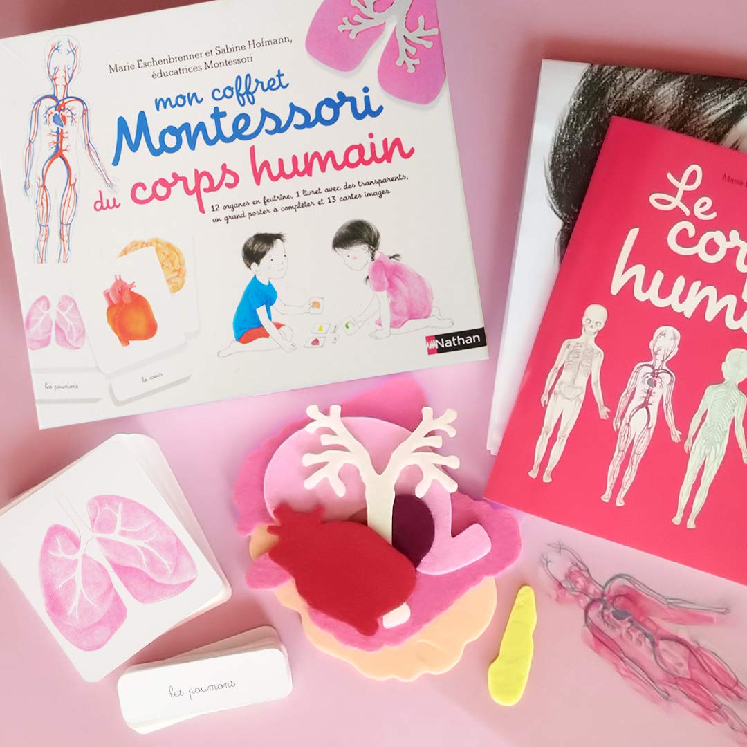 Mon coffret montessori du corps humain