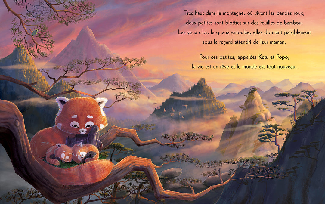 Les pandas qui ont fait une promesse