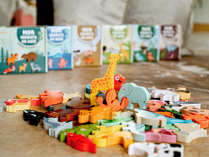 Ensemble 6 coffrets animaux en bois