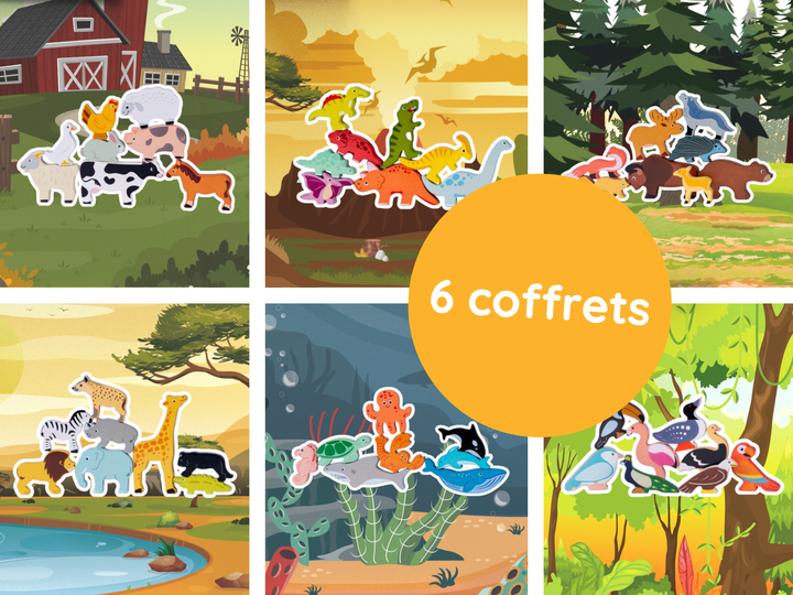 Ensemble 6 coffrets animaux en bois