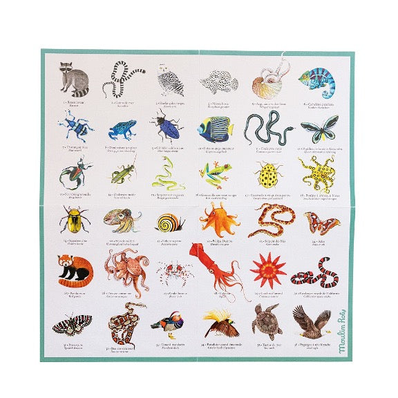 Tout autour du monde- Jeu de mémoire