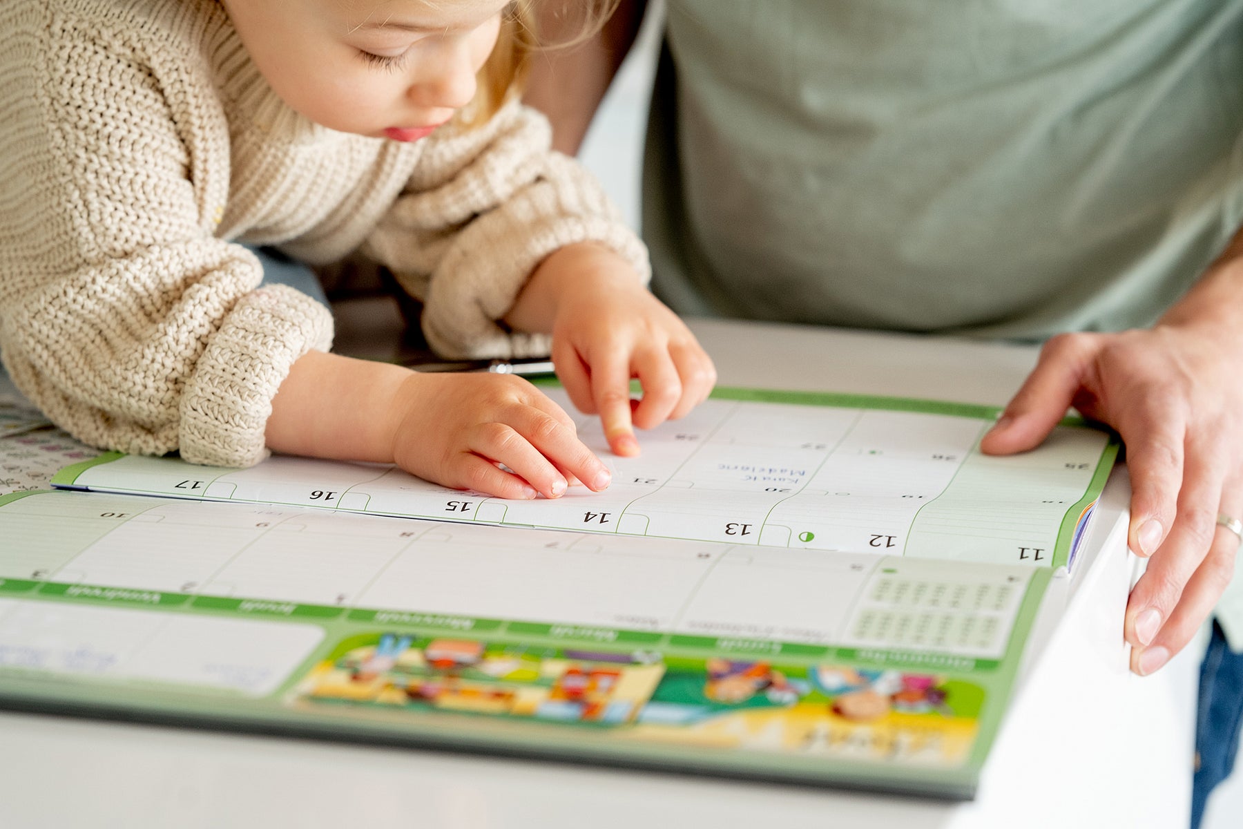 Image Title Alt Image