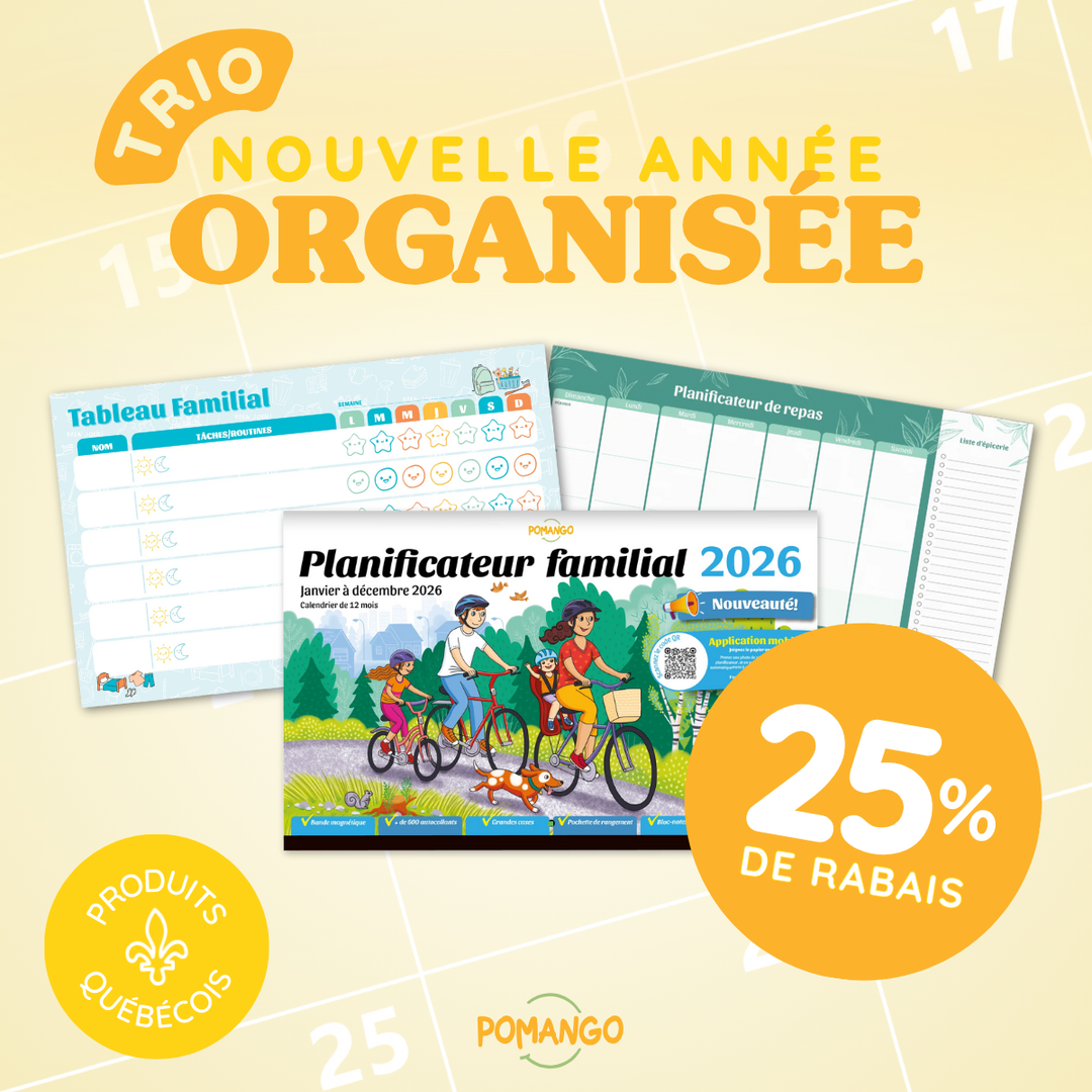 Trio nouvelle année organisée