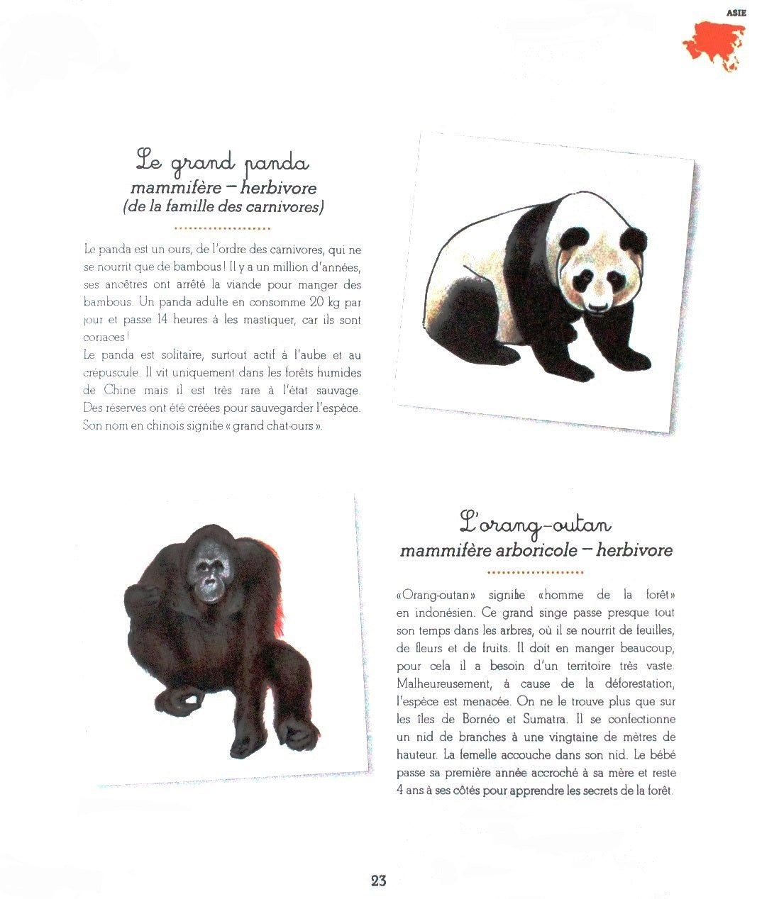 Mon cahier montessori les animaux