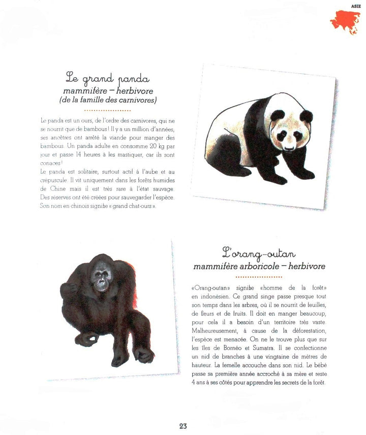 Mon Cahier Montessori Les Animaux