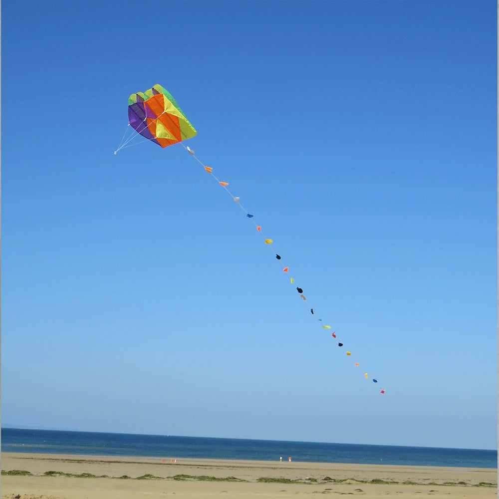 Small Kite