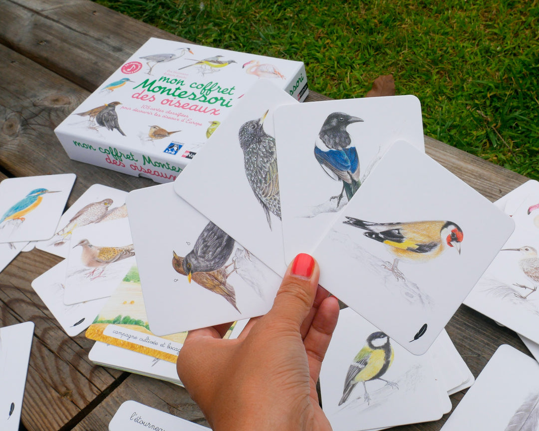 Mon coffret montessori des oiseaux