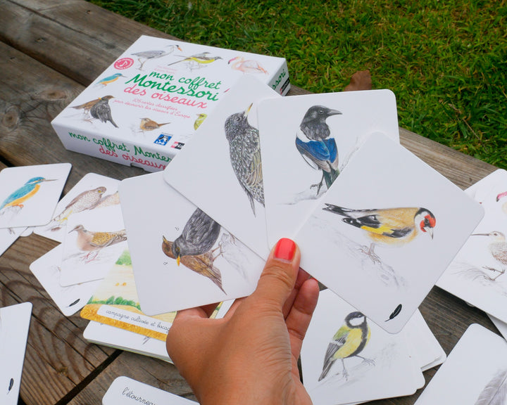 Mon Coffret Montessori Des Oiseaux